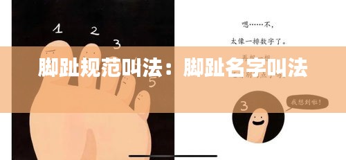 脚趾规范叫法：脚趾名字叫法 