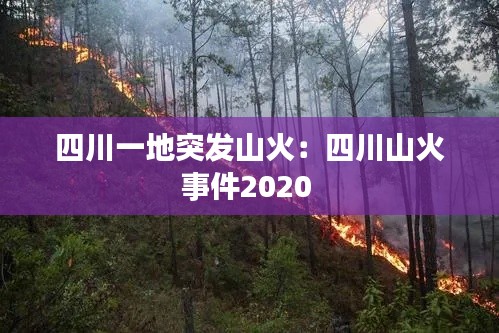 四川一地突发山火：四川山火事件2020 