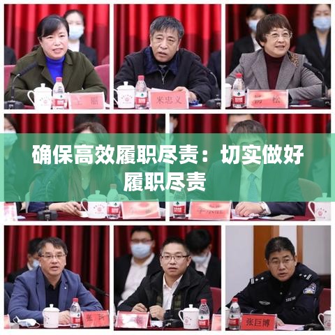 确保高效履职尽责：切实做好履职尽责 