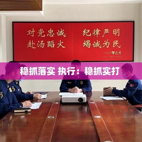 稳抓落实 执行：稳抓实打 