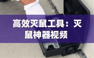 高效灭鼠工具：灭鼠神器视频 