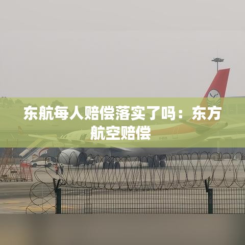 东航每人赔偿落实了吗：东方航空赔偿 