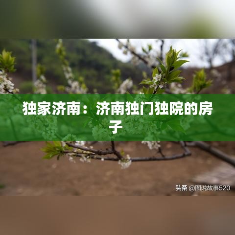 独家济南：济南独门独院的房子 