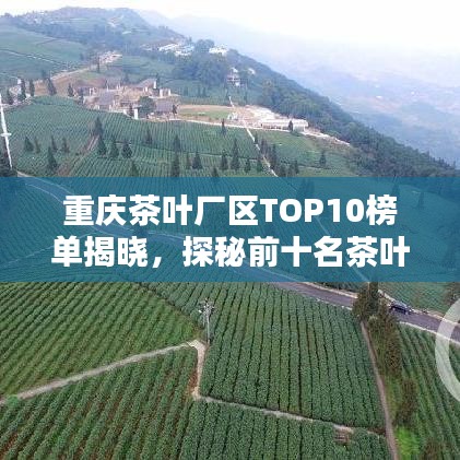 重庆茶叶厂区TOP10榜单揭晓，探秘前十名茶叶厂区，品味地道好茶！