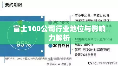 富士100公司行业地位与影响力解析