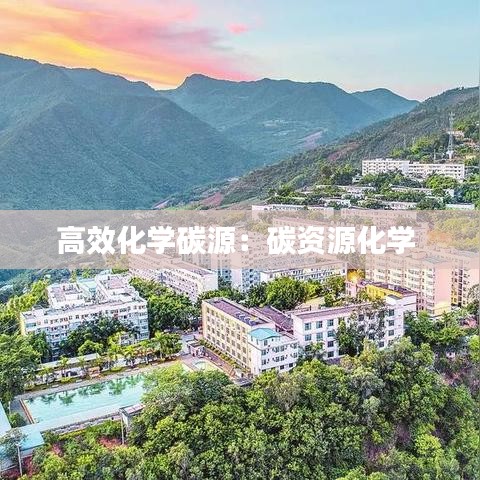 高效化学碳源：碳资源化学 