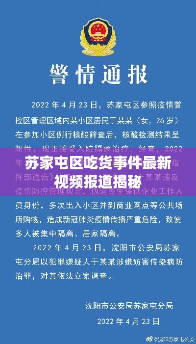 苏家屯区吃货事件最新视频报道揭秘