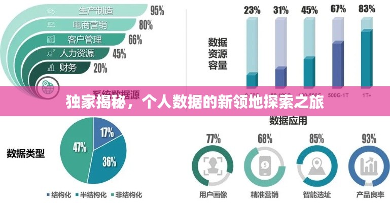 独家揭秘，个人数据的新领地探索之旅