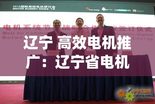 辽宁 高效电机推广：辽宁省电机工程学会官网 