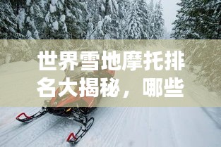 世界雪地摩托排名大揭秘，哪些品牌独占鳌头？