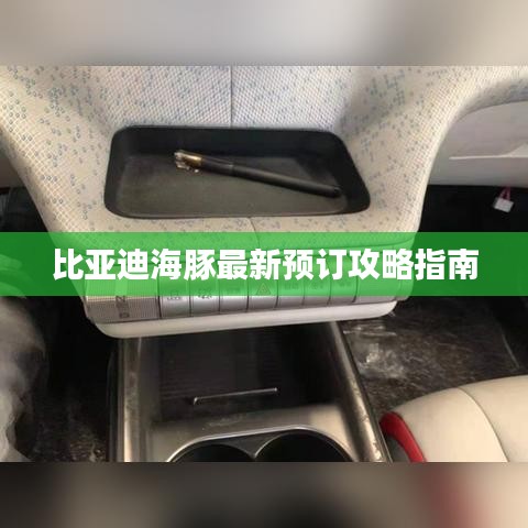 比亚迪海豚最新预订攻略指南