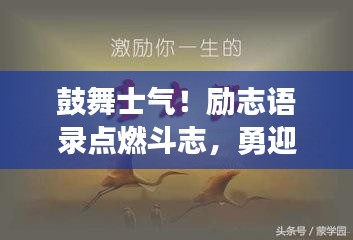 鼓舞士气！励志语录点燃斗志，勇迎挑战时刻