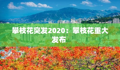 攀枝花突发2020：攀枝花重大发布 