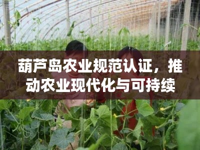 葫芦岛农业规范认证，推动农业现代化与可持续发展齐步前行