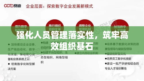 强化人员管理落实性，筑牢高效组织基石