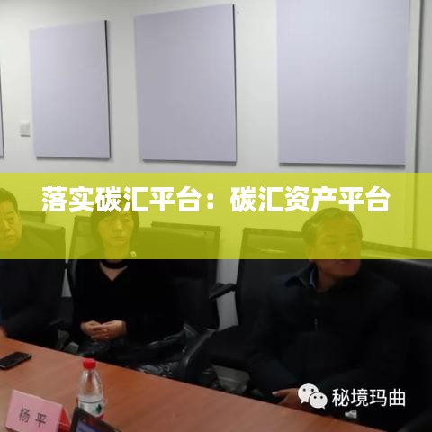 落实碳汇平台：碳汇资产平台 