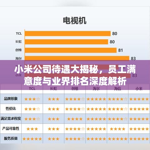 小米公司待遇大揭秘，员工满意度与业界排名深度解析