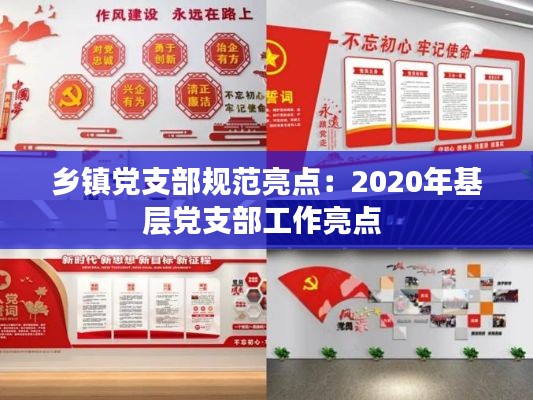 乡镇党支部规范亮点：2020年基层党支部工作亮点 