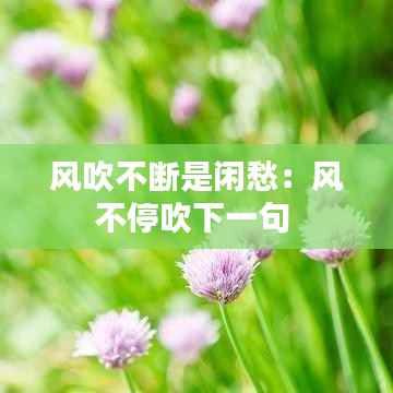 风吹不断是闲愁：风不停吹下一句 