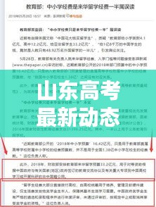 山东高考最新动态更新，今日焦点消息汇总