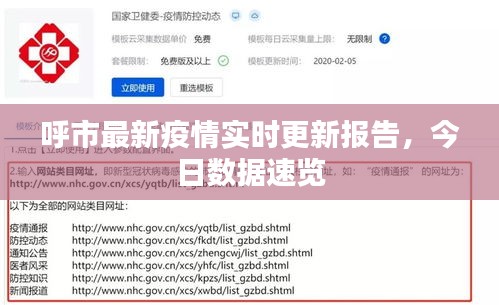 呼市最新疫情实时更新报告，今日数据速览