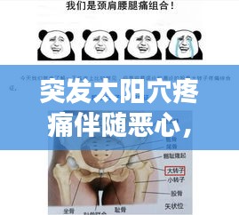 突发太阳穴疼痛伴随恶心，原因及应对方法全解析