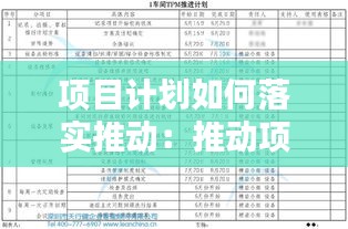 项目计划如何落实推动：推动项目实施 