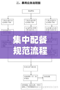 集中配餐规范流程图：集中配餐餐饮公司规范 