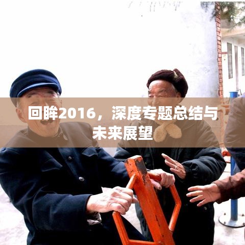 回眸2016，深度专题总结与未来展望