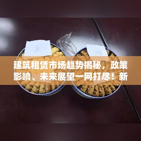 建筑租赁市场趋势揭秘，政策影响、未来展望一网打尽！新闻头条重磅来袭！