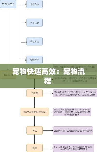 宠物快速高效：宠物流程 