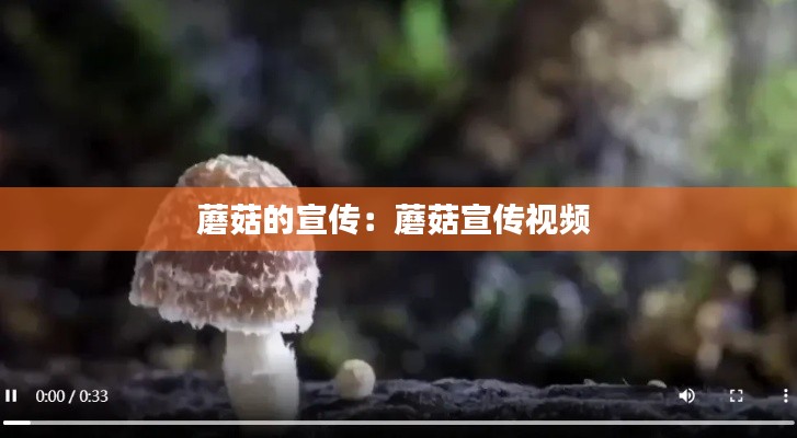 蘑菇的宣传：蘑菇宣传视频 