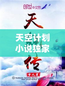 天空计划小说独家：开放天空计划 