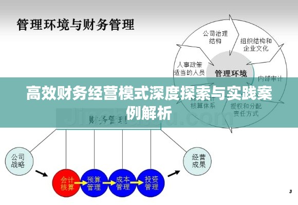 高效财务经营模式深度探索与实践案例解析