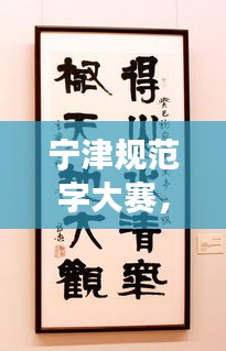 宁津规范字大赛，传承文化魅力，尽展汉字精粹风采