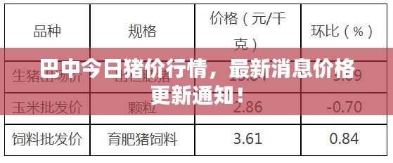 巴中今日猪价行情，最新消息价格更新通知！