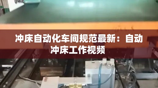 冲床自动化车间规范最新：自动冲床工作视频 