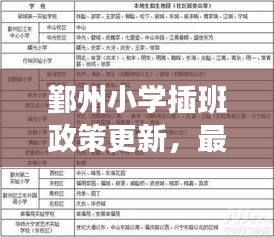 鄞州小学插班政策更新，最新动态解读