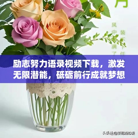 励志努力语录视频下载，激发无限潜能，砥砺前行成就梦想