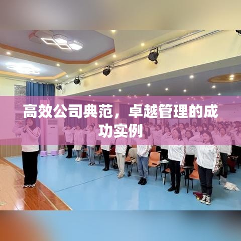 高效公司典范，卓越管理的成功实例