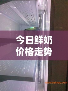 今日鲜奶价格走势，最新动态分析与查询报告