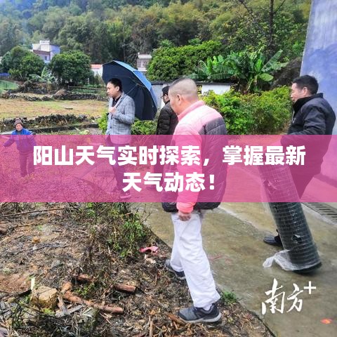 阳山天气实时探索，掌握最新天气动态！