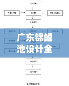 广东锦鲤池设计全攻略，流程规范揭秘