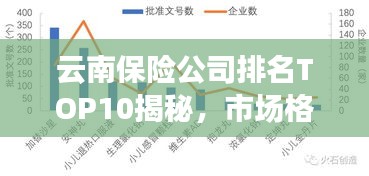 云南保险公司排名TOP10揭秘，市场格局与趋势深度解读