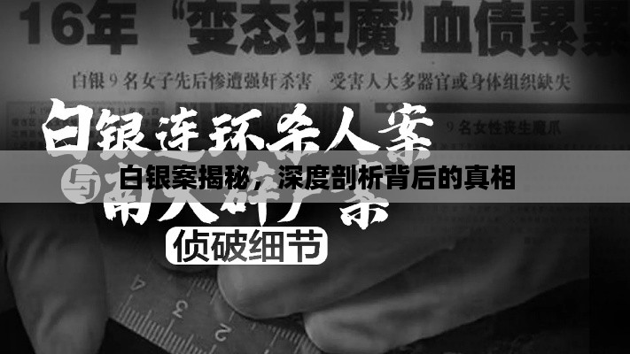 白银案揭秘，深度剖析背后的真相