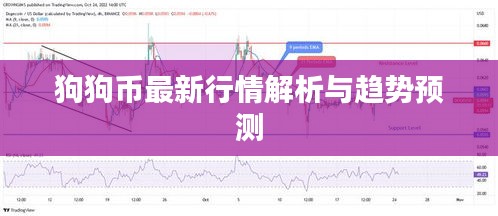 狗狗币最新行情解析与趋势预测