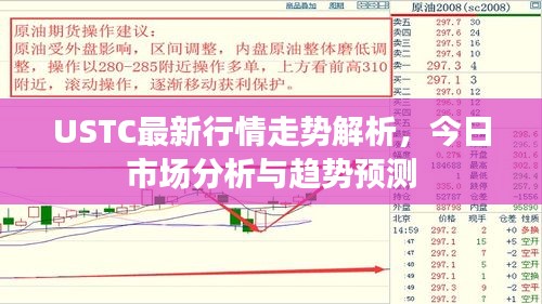 USTC最新行情走势解析，今日市场分析与趋势预测