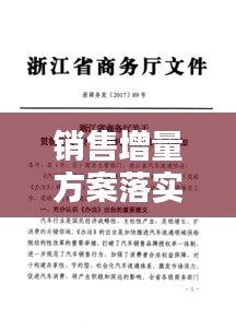 销售增量方案落实，策略、实践与执行之道