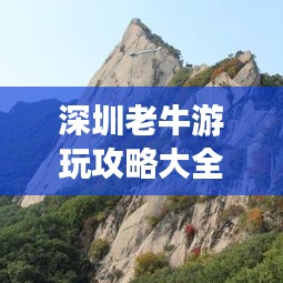 深圳老牛游玩攻略大全