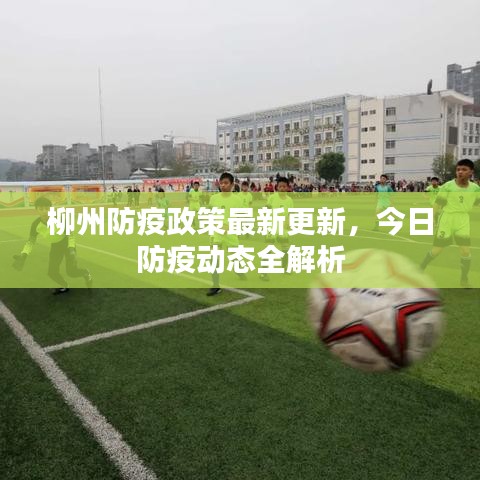 柳州防疫政策最新更新，今日防疫动态全解析